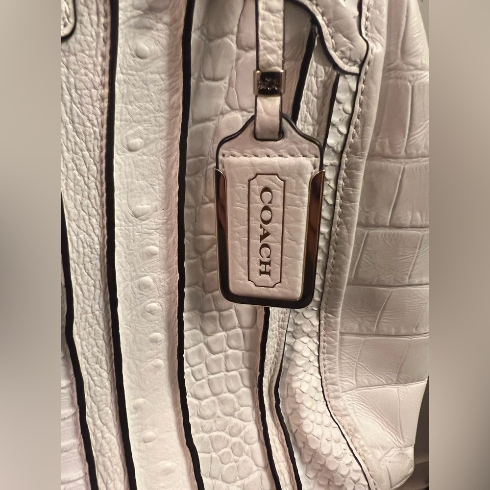 Rare Find- NWT Coach Madison Domed Satchel in Exotic Stripe Leather - Picture 12 of 13